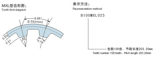 MXL齒形圖